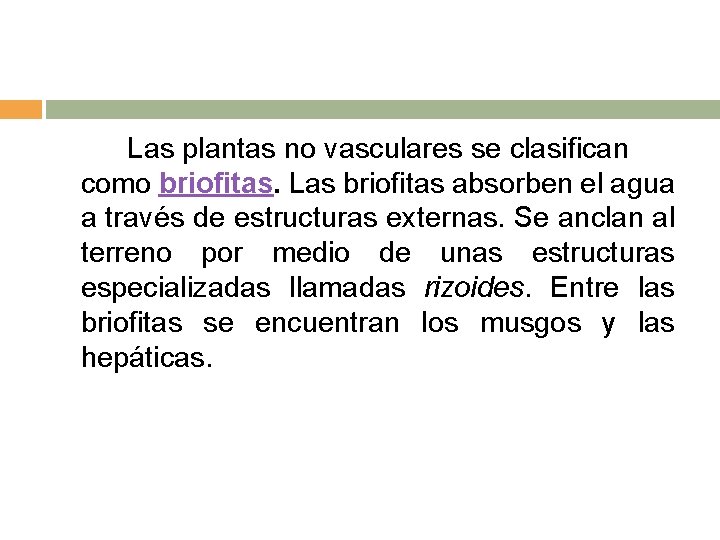 Las plantas no vasculares se clasifican como briofitas. Las briofitas absorben el agua a