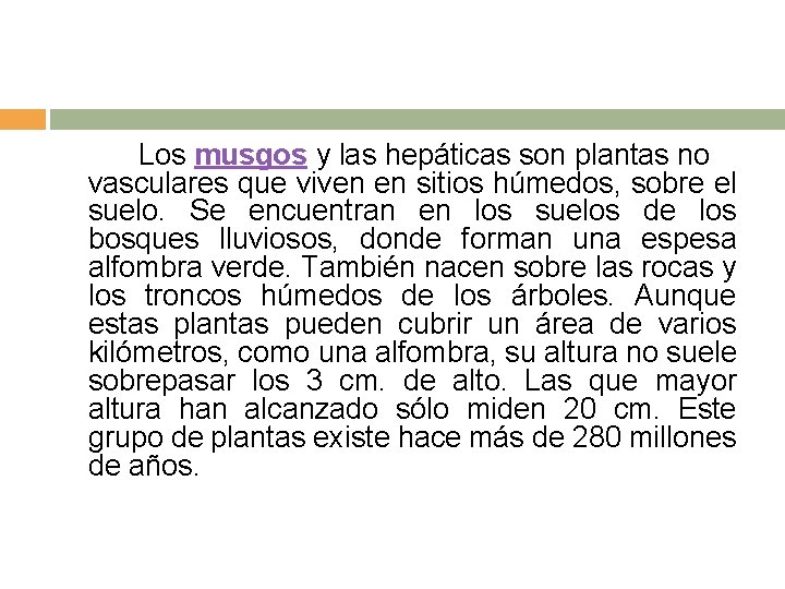 Los musgos y las hepáticas son plantas no vasculares que viven en sitios húmedos,