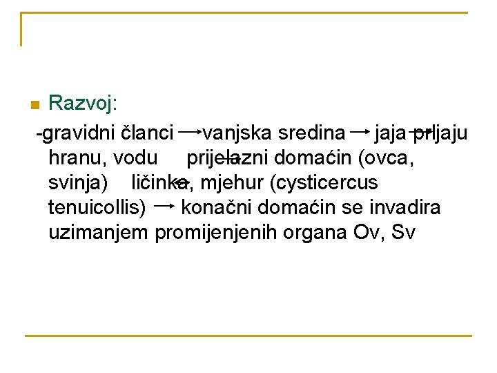 Razvoj: -gravidni članci vanjska sredina jaja prljaju hranu, vodu prijelazni domaćin (ovca, svinja) ličinka,