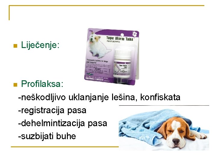 n n Liječenje: Profilaksa: -neškodljivo uklanjanje lešina, konfiskata -registracija pasa -dehelmintizacija pasa -suzbijati buhe