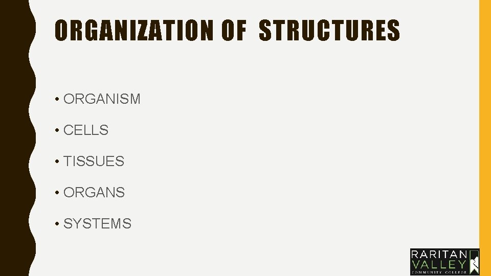 ORGANIZATION OF STRUCTURES • ORGANISM • CELLS • TISSUES • ORGANS • SYSTEMS ORGANIZATION OF STRUCTURES • ORGANISM • CELLS • TISSUES • ORGANS • SYSTEMS