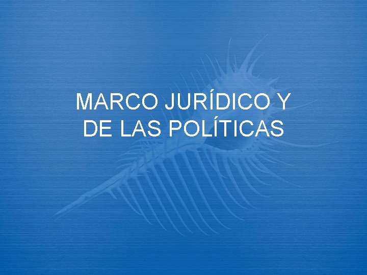 MARCO JURÍDICO Y DE LAS POLÍTICAS 