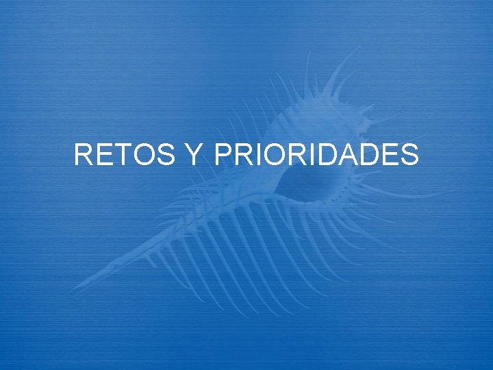 RETOS Y PRIORIDADES 
