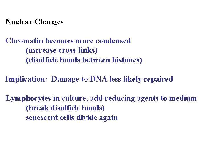 Nuclear Changes Chromatin becomes more condensed (increase cross-links) (disulfide bonds between histones) Implication: Damage