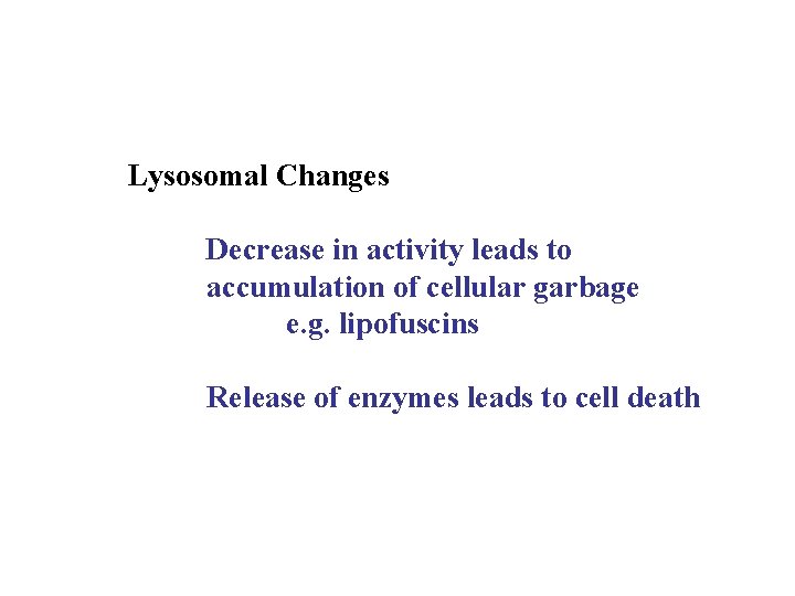 Lysosomal Changes Decrease in activity leads to accumulation of cellular garbage e. g. lipofuscins