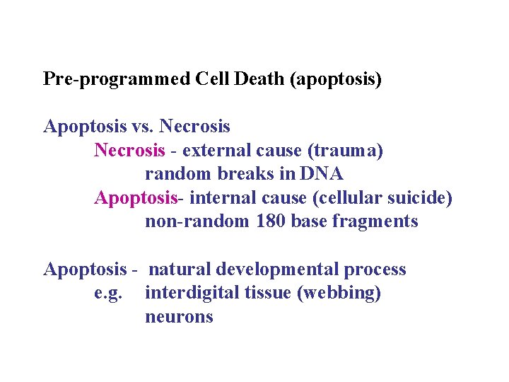 Pre-programmed Cell Death (apoptosis) Apoptosis vs. Necrosis - external cause (trauma) random breaks in