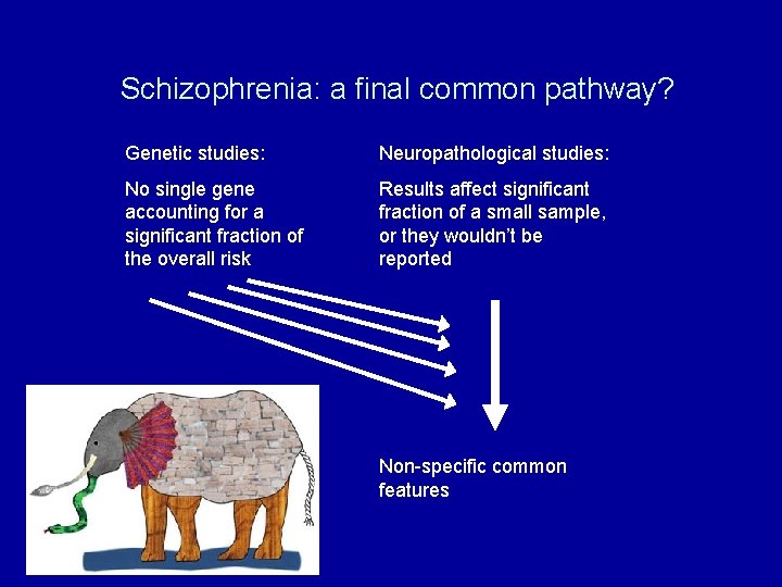 Schizophrenia: a final common pathway? Genetic studies: Neuropathological studies: No single gene accounting for