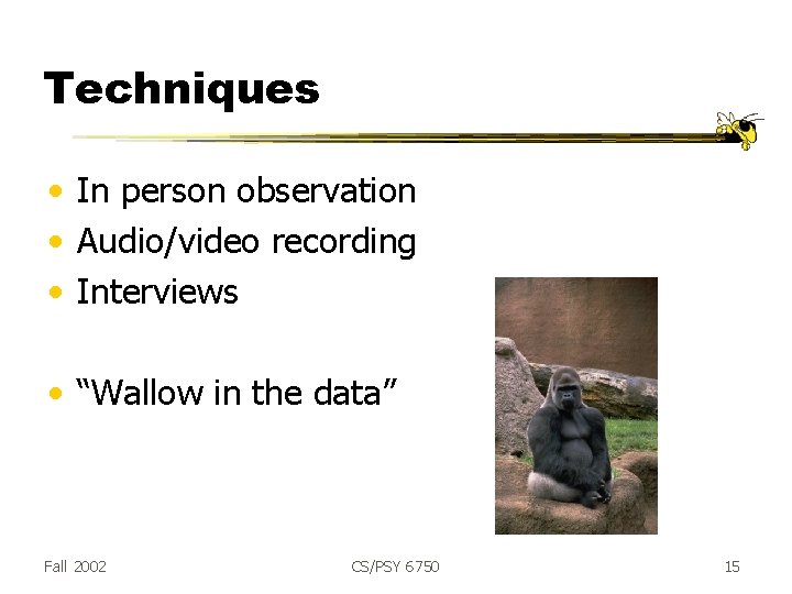 Techniques • In person observation • Audio/video recording • Interviews • “Wallow in the