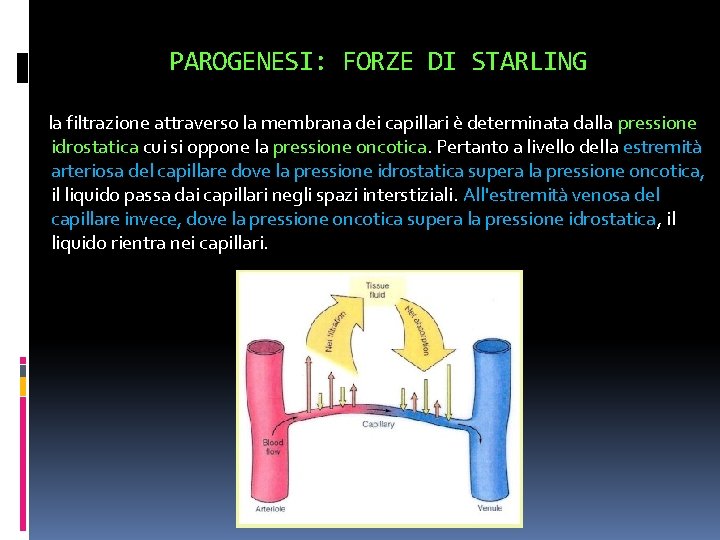PAROGENESI: FORZE DI STARLING la filtrazione attraverso la membrana dei capillari è determinata dalla