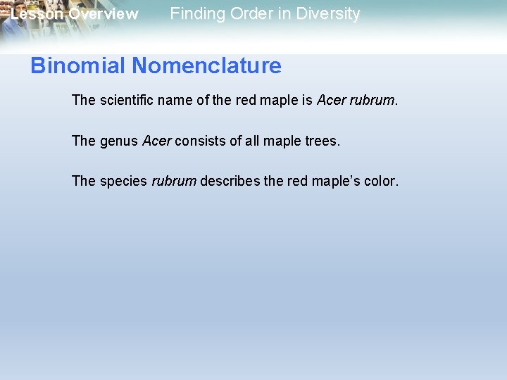 Lesson Overview Finding Order in Diversity Binomial Nomenclature The scientific name of the red Lesson Overview Finding Order in Diversity Binomial Nomenclature The scientific name of the red