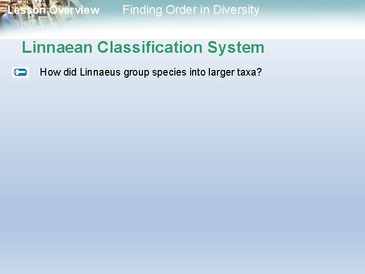 Lesson Overview Finding Order in Diversity Linnaean Classification System How did Linnaeus group species Lesson Overview Finding Order in Diversity Linnaean Classification System How did Linnaeus group species
