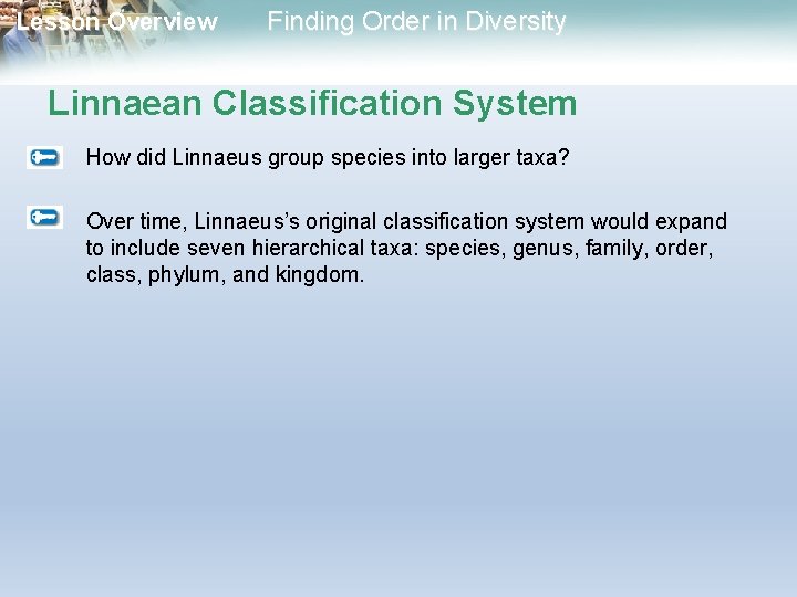 Lesson Overview Finding Order in Diversity Linnaean Classification System How did Linnaeus group species Lesson Overview Finding Order in Diversity Linnaean Classification System How did Linnaeus group species