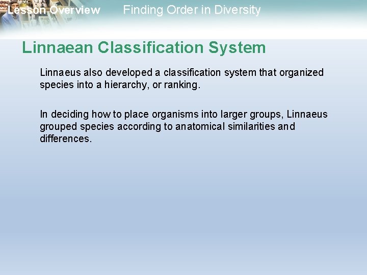 Lesson Overview Finding Order in Diversity Linnaean Classification System Linnaeus also developed a classification Lesson Overview Finding Order in Diversity Linnaean Classification System Linnaeus also developed a classification