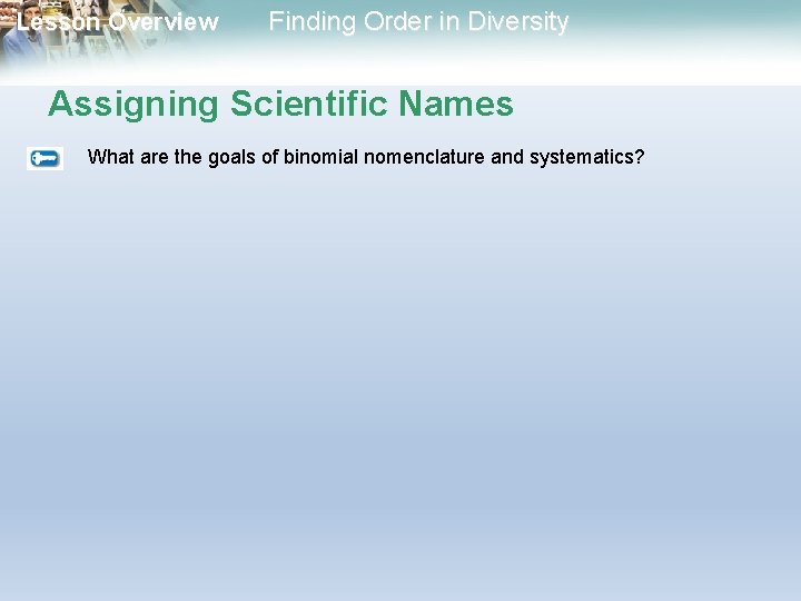 Lesson Overview Finding Order in Diversity Assigning Scientific Names What are the goals of Lesson Overview Finding Order in Diversity Assigning Scientific Names What are the goals of