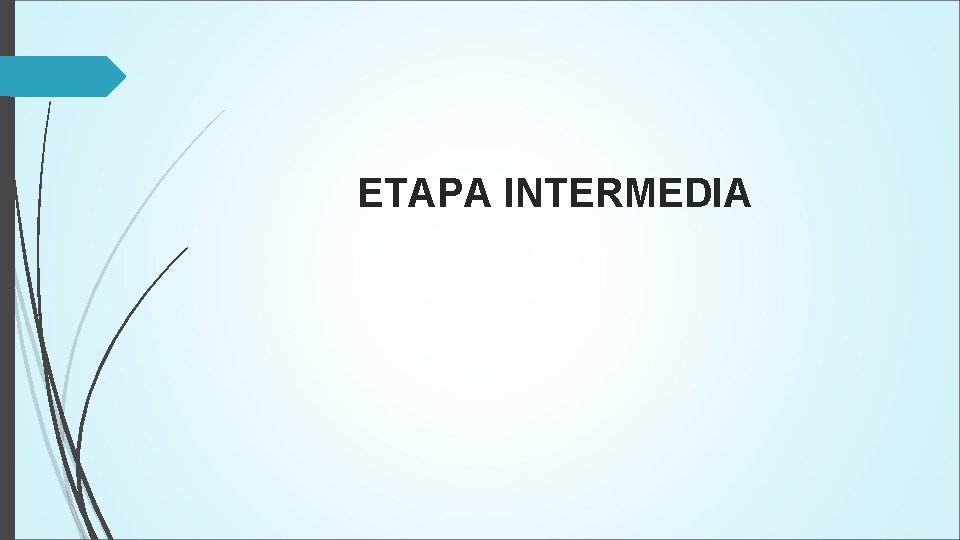 ETAPA INTERMEDIA 