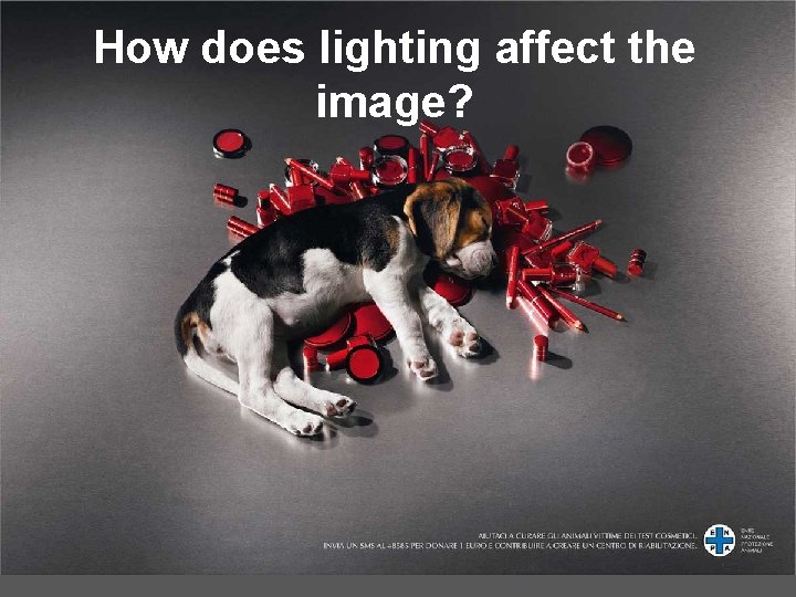 How does lighting affect the image? How does lighting affect the image?