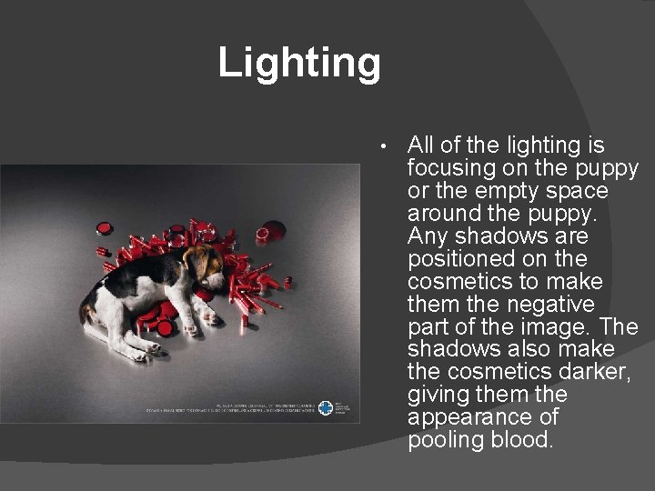 Lighting • All of the lighting is focusing on the puppy or the empty Lighting • All of the lighting is focusing on the puppy or the empty