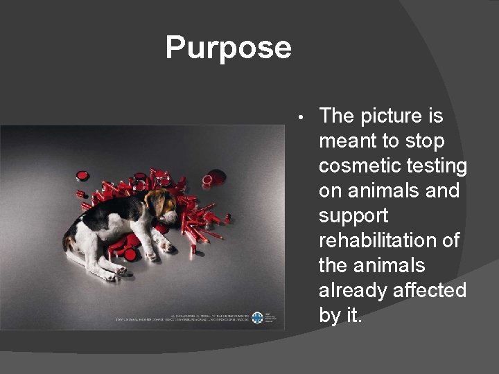 Purpose • The picture is meant to stop cosmetic testing on animals and support Purpose • The picture is meant to stop cosmetic testing on animals and support