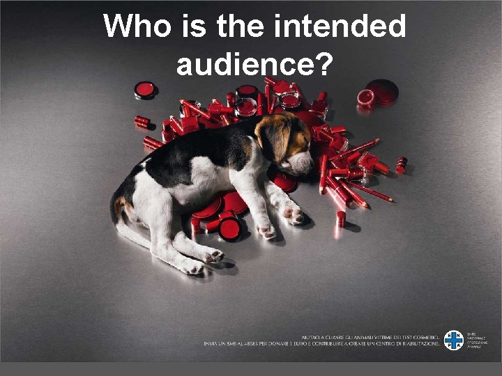 Who is the intended audience? Who is the intended audience?