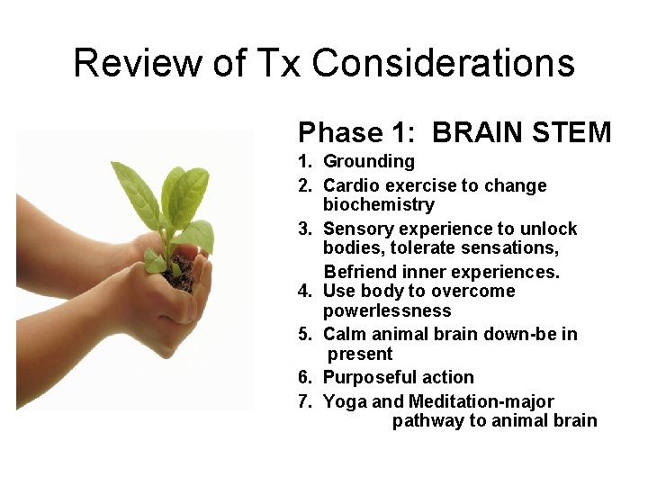 Review of Tx Considerations Phase 1: BRAIN STEM 1. Grounding 2. Cardio exercise to Review of Tx Considerations Phase 1: BRAIN STEM 1. Grounding 2. Cardio exercise to