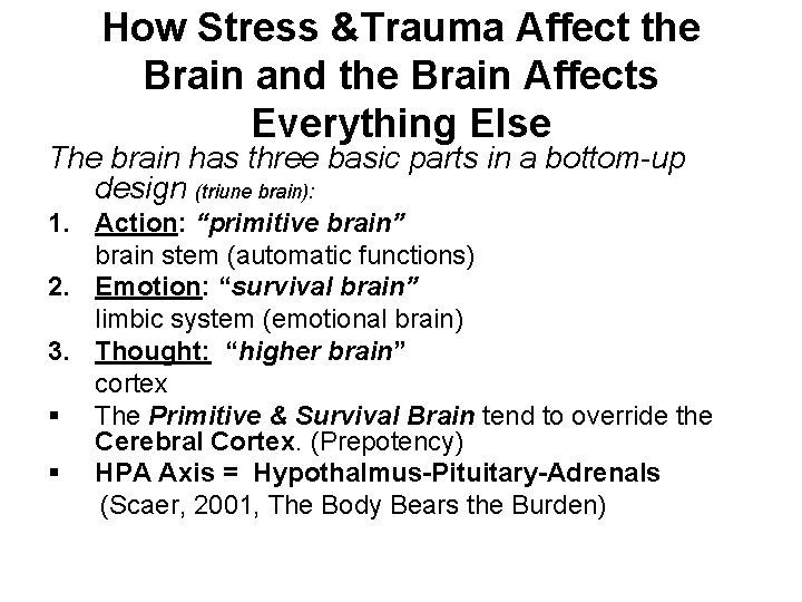 How Stress &Trauma Affect the Brain and the Brain Affects Everything Else The brain How Stress &Trauma Affect the Brain and the Brain Affects Everything Else The brain