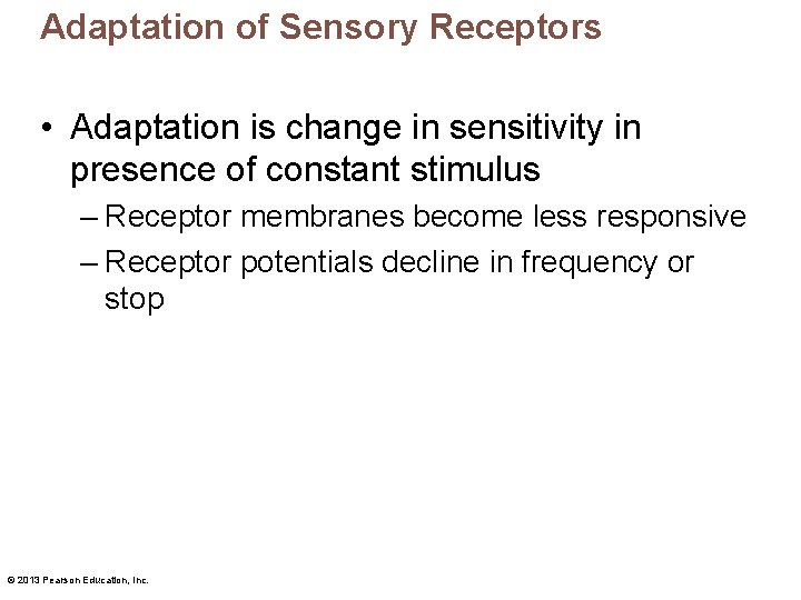 Adaptation of Sensory Receptors • Adaptation is change in sensitivity in presence of constant Adaptation of Sensory Receptors • Adaptation is change in sensitivity in presence of constant