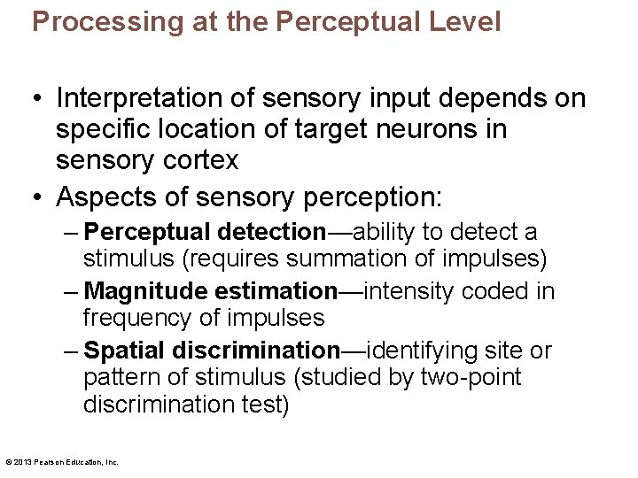 Processing at the Perceptual Level • Interpretation of sensory input depends on specific location Processing at the Perceptual Level • Interpretation of sensory input depends on specific location