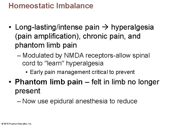 Homeostatic Imbalance • Long-lasting/intense pain hyperalgesia (pain amplification), chronic pain, and phantom limb pain Homeostatic Imbalance • Long-lasting/intense pain hyperalgesia (pain amplification), chronic pain, and phantom limb pain