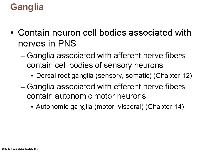 Ganglia • Contain neuron cell bodies associated with nerves in PNS – Ganglia associated Ganglia • Contain neuron cell bodies associated with nerves in PNS – Ganglia associated