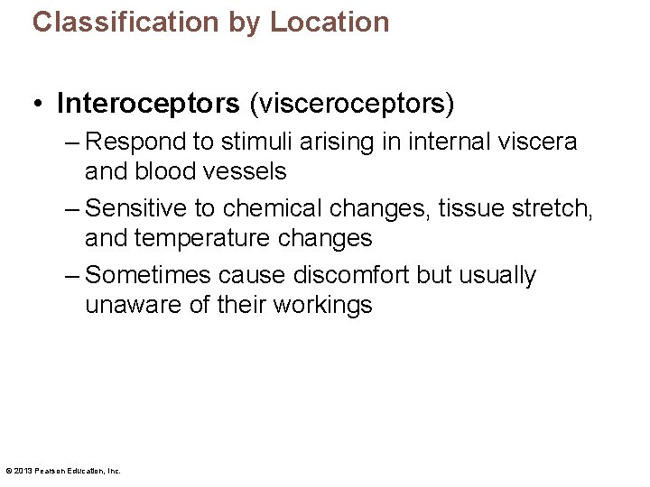 Classification by Location • Interoceptors (visceroceptors) – Respond to stimuli arising in internal viscera Classification by Location • Interoceptors (visceroceptors) – Respond to stimuli arising in internal viscera