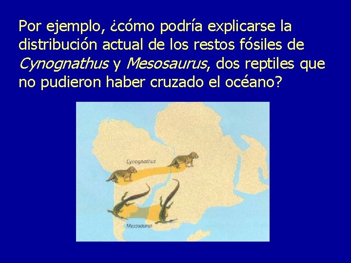 Por ejemplo, ¿cómo podría explicarse la distribución actual de los restos fósiles de Cynognathus