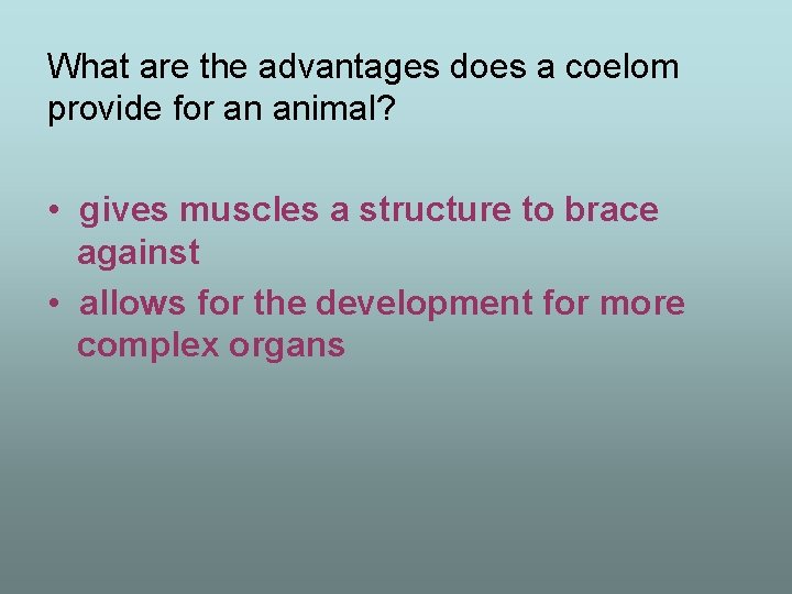 What are the advantages does a coelom provide for an animal? • gives muscles