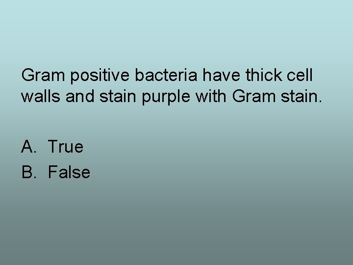 Gram positive bacteria have thick cell walls and stain purple with Gram stain. A.