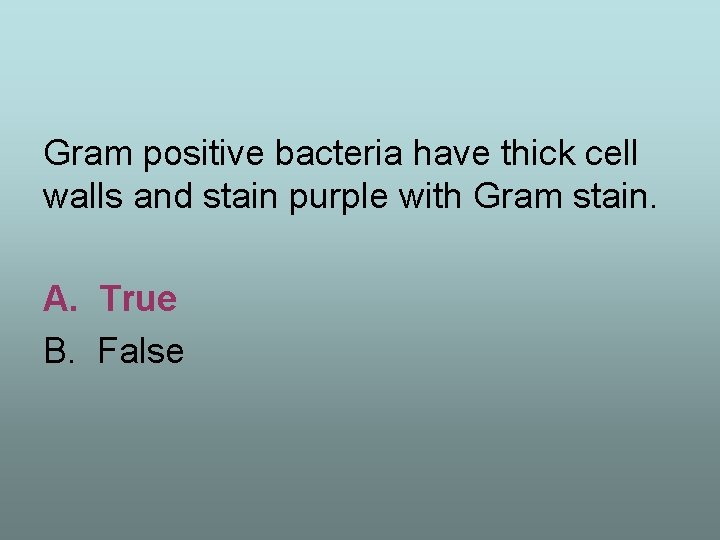 Gram positive bacteria have thick cell walls and stain purple with Gram stain. A.