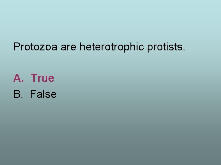 Protozoa are heterotrophic protists. A. True B. False 