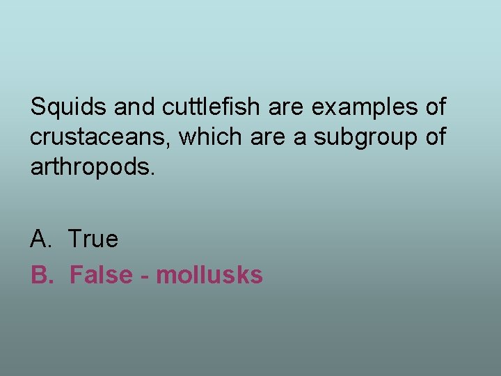 Squids and cuttlefish are examples of crustaceans, which are a subgroup of arthropods. A.