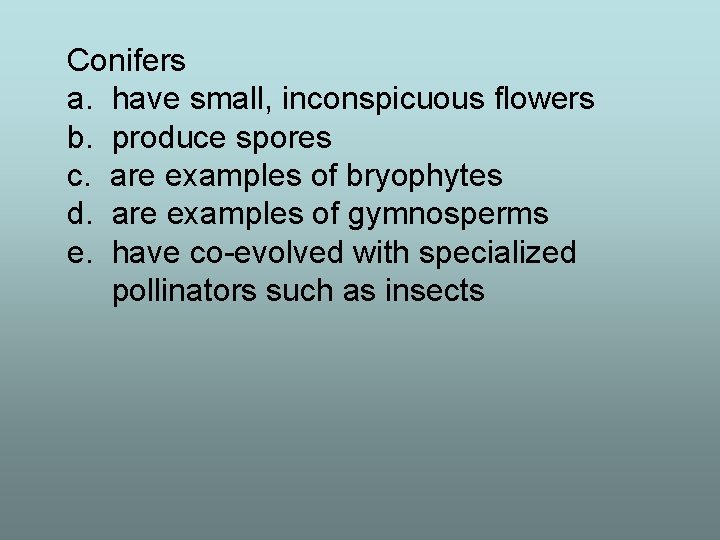 Conifers a. have small, inconspicuous flowers b. produce spores c. are examples of bryophytes