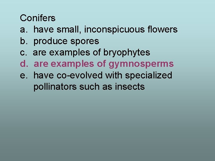 Conifers a. have small, inconspicuous flowers b. produce spores c. are examples of bryophytes