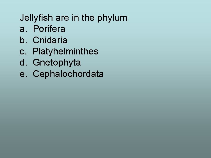Jellyfish are in the phylum a. Porifera b. Cnidaria c. Platyhelminthes d. Gnetophyta e.