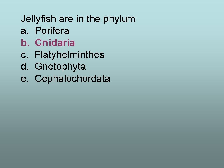 Jellyfish are in the phylum a. Porifera b. Cnidaria c. Platyhelminthes d. Gnetophyta e.