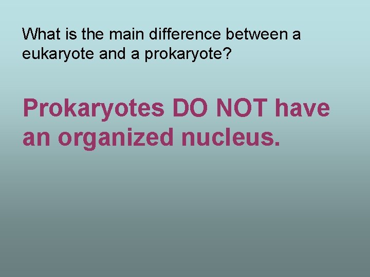 What is the main difference between a eukaryote and a prokaryote? Prokaryotes DO NOT