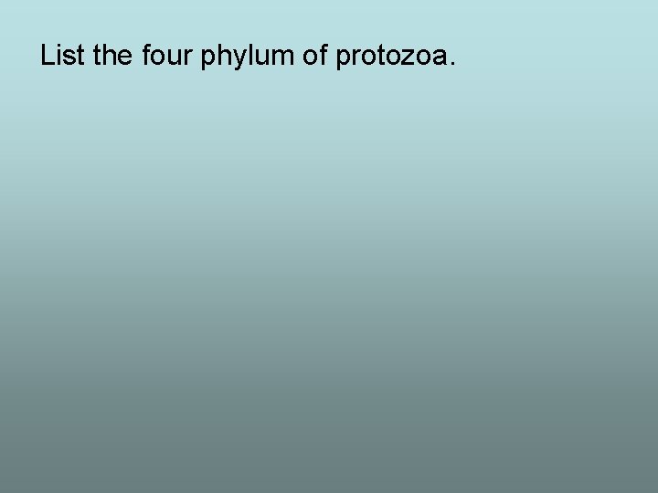 List the four phylum of protozoa. 
