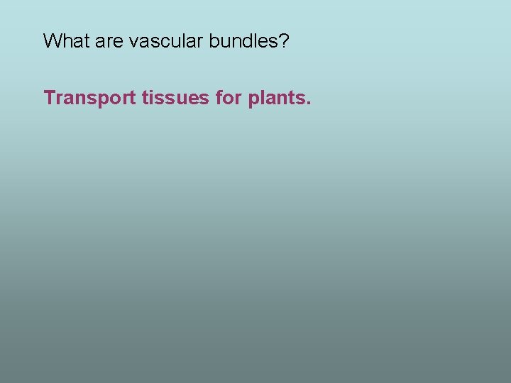 What are vascular bundles? Transport tissues for plants. 