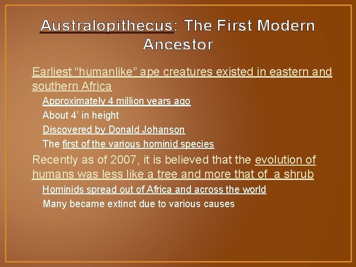 Australopithecus: The First Modern Ancestor • Earliest “humanlike” ape creatures existed in eastern and