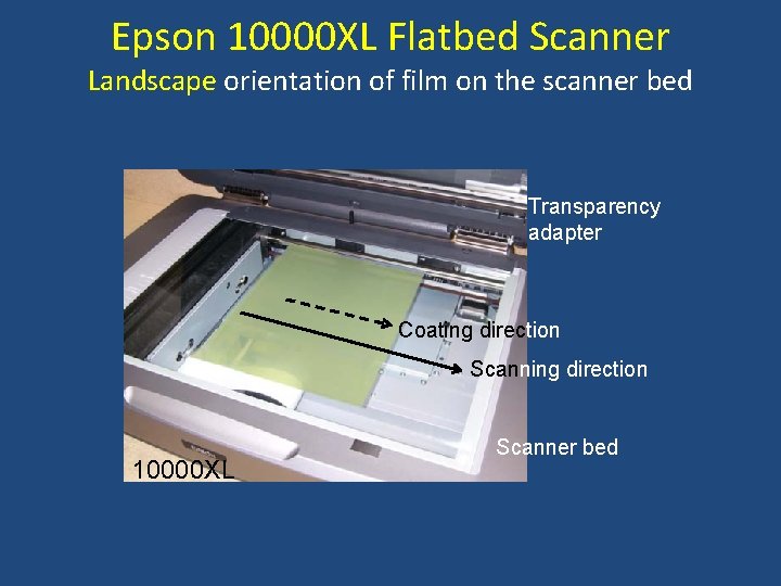 Epson 10000 XL Flatbed Scanner Landscape orientation of film on the scanner bed Transparency
