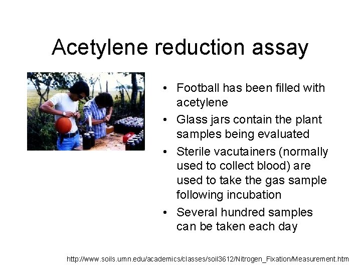 Acetylene reduction assay • Football has been filled with acetylene • Glass jars contain