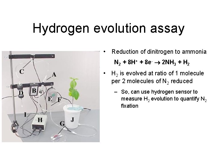 Hydrogen evolution assay • Reduction of dinitrogen to ammonia N 2 + 8 H+
