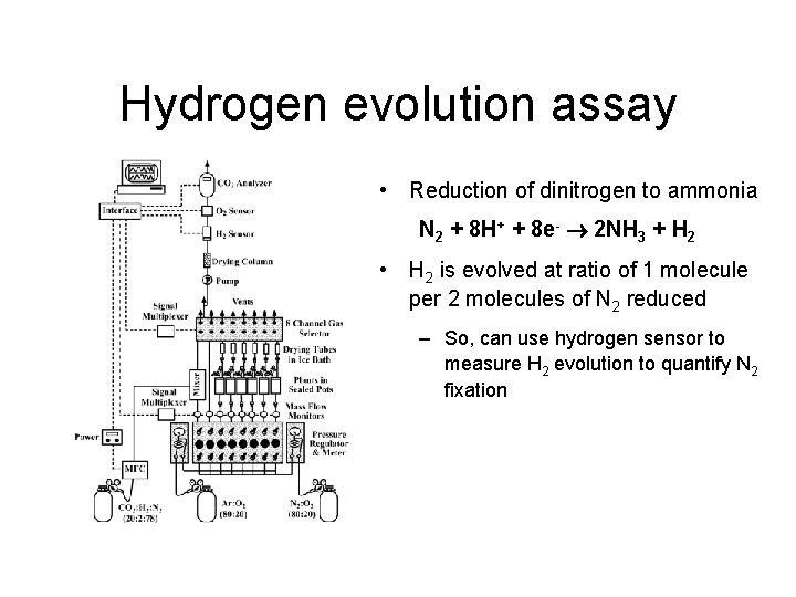 Hydrogen evolution assay • Reduction of dinitrogen to ammonia N 2 + 8 H+