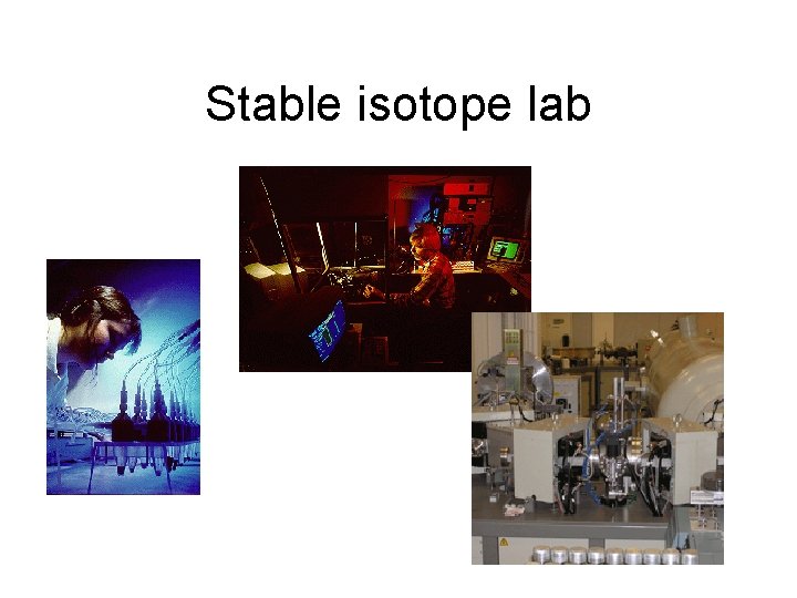 Stable isotope lab 