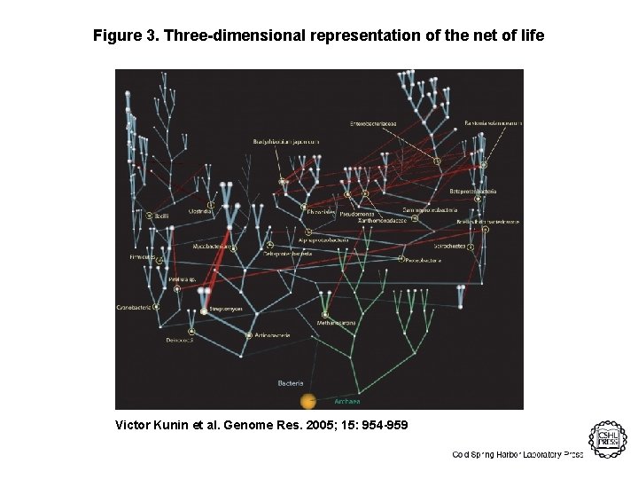 Figure 3. Three-dimensional representation of the net of life Victor Kunin et al. Genome